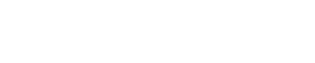 The Computer